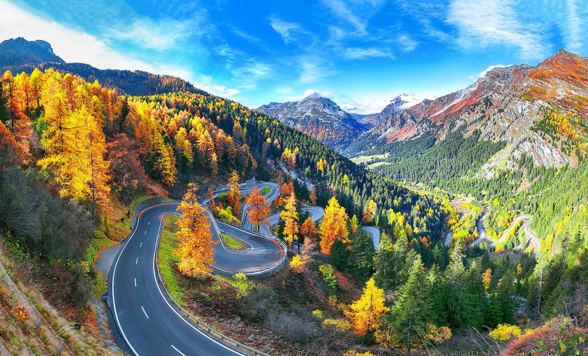 Back to nature | Ultra HD Metal Print