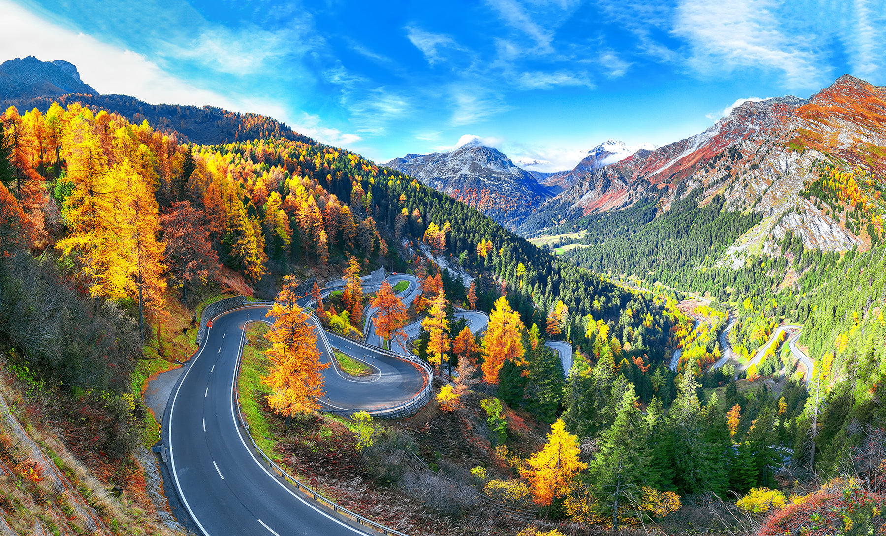 Back to nature | Ultra HD Metal Print